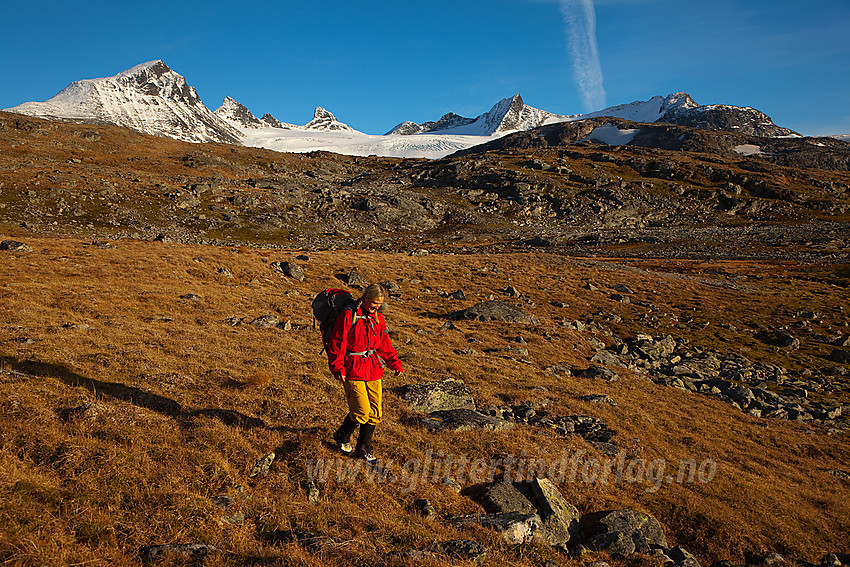 På vei ned siste lia mot Krossbu etter en flott tur i fjellet. I bakgrunnen Leirbrean og Smørstabbtindane som omkranser den.