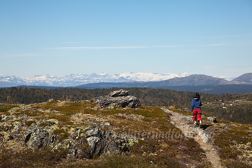 På retur fra Binnhovdknatten med Jotunheimen i det fjerne.