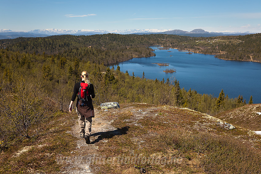 På vei tilbake fra Binnhovdknatten med utsikt mot Fjeslitjernet med Melladn i bakgrunnen og Jotunheimen i det fjerne.