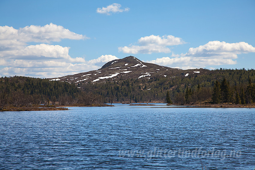 Fjeslitjernet med Binnhovdknatten (1165 moh) i bakgrunnen.