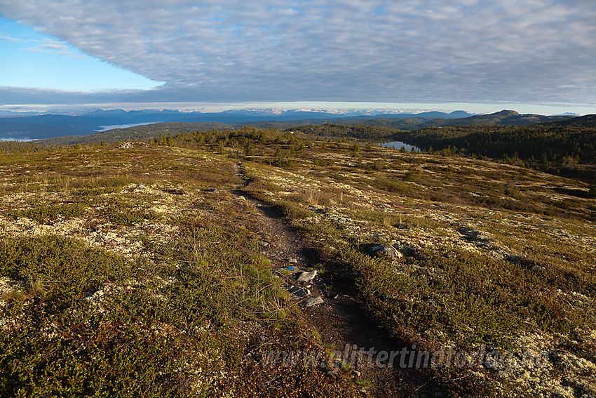 På Storstølknatten (1124 moh) på Aurdalsåsen med utsikt i retning Jotunheimen.