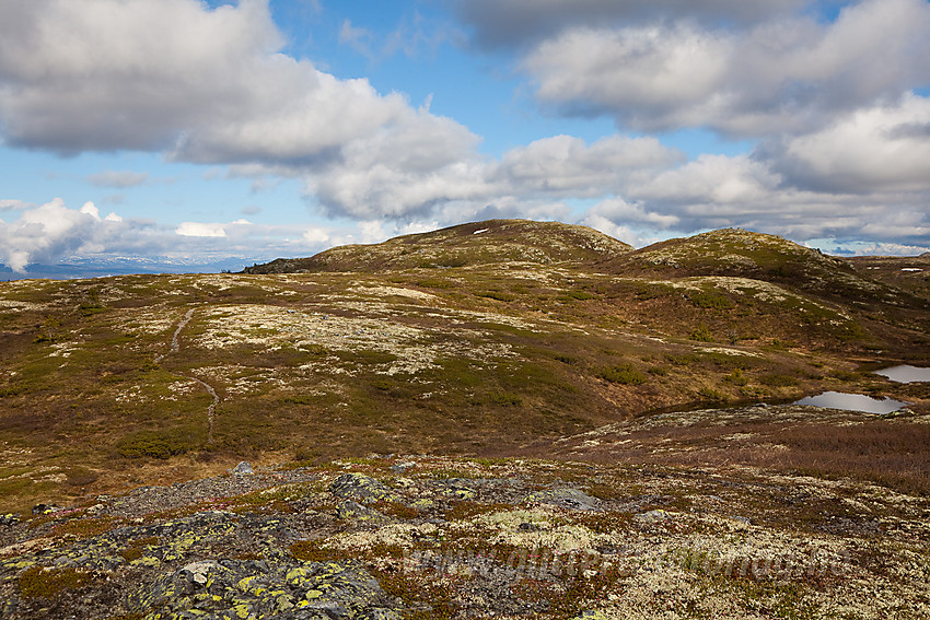 På vei utover fjellryggen øst for Freningfjellet på Aurdalsåsen.