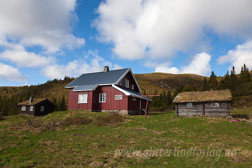 Ved Ølslykkja i Nord-Aurdal.