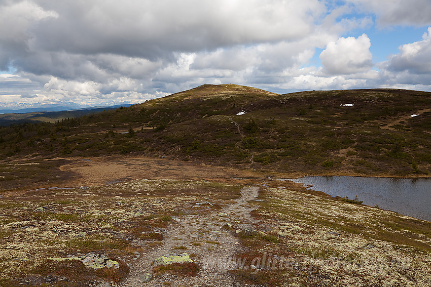 På vei fra Freningfjellet mot Fjellenden.