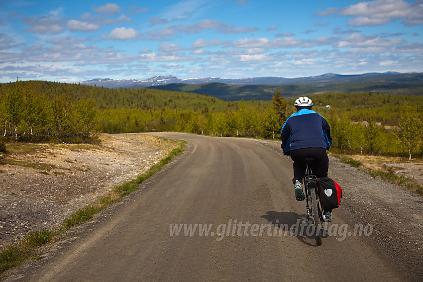 Sykling like nordøst for Bjørnhovda i Nord-Aurdal.