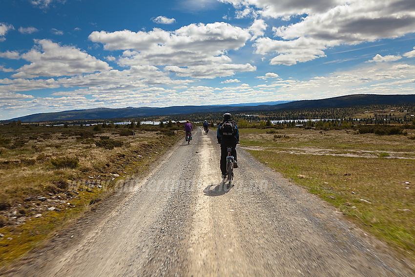 Sykling i bakkene ved Lie med Smørlifjellet og Skardåsen i bakgrunnen.