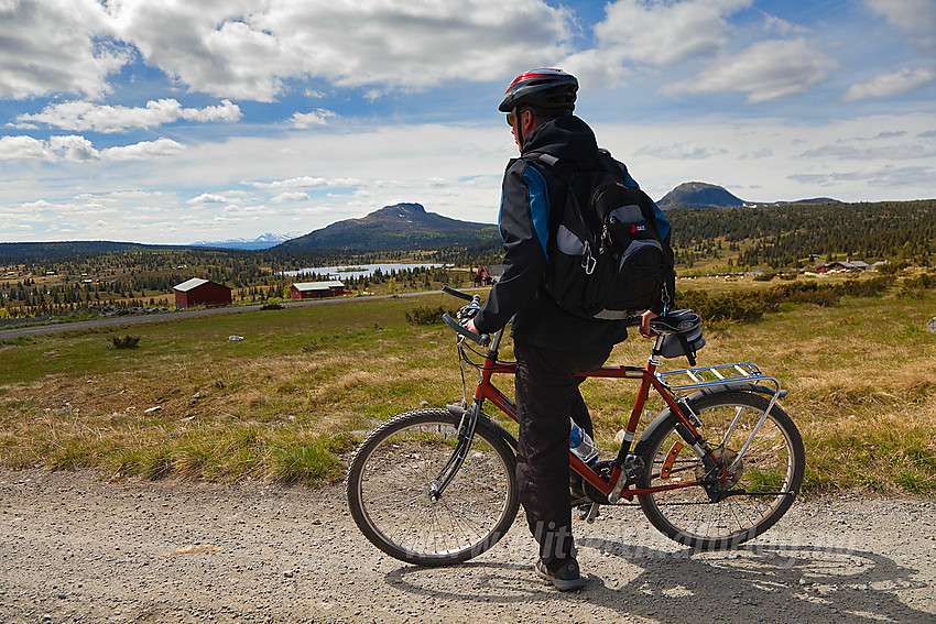 I bakkene ned mot Juvike med Skarvemellen og Rundemellen i bakgrunnen.