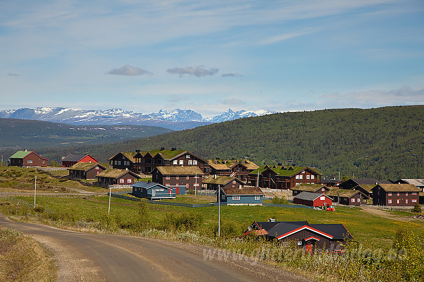 Fra en sykkeltur forbi Gomobu på Vaset med Jotunheimen i det fjerne.