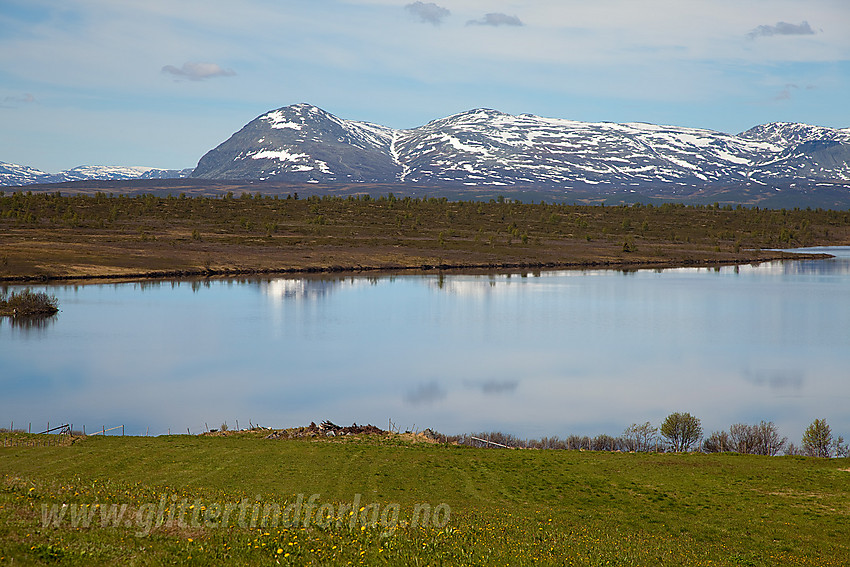 Flott sommerdag ved Valtjernstølen mot Valtjernet med Skogshorn (1728 moh) i bakgrunnen.