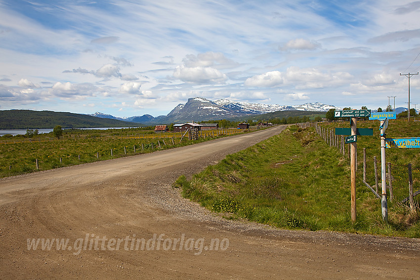 Ved Langestølen på Stølsvidda i Nord-Aurdal med Skogshorn i bakgrunnen.