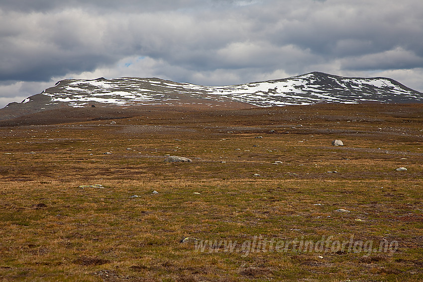 På Smådalsfjellet mot Jørungilknappen (1710 moh) og Gråskarvet (1731 moh). Den som er kjent klarer sikkert å få øye på den artige Hallingsteinen også.