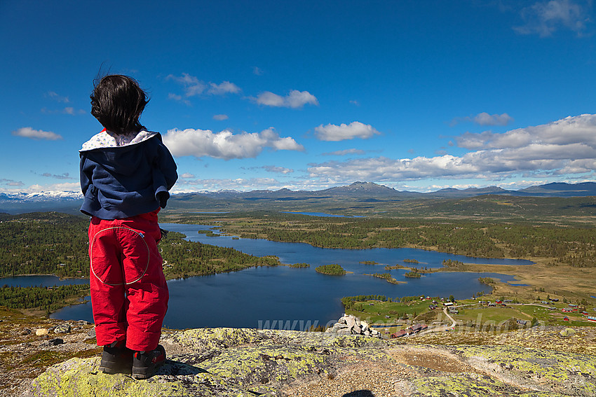 Fra Rabbalsmellen mot Vangsjøen.