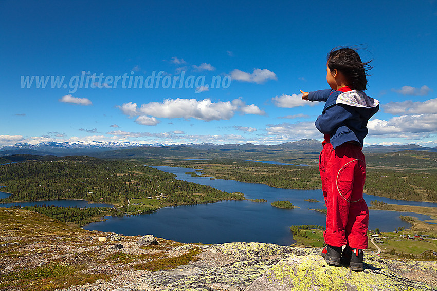 Fra Rabbalsmellen mot Vangsjøen med Jotunheimen i det fjerne.