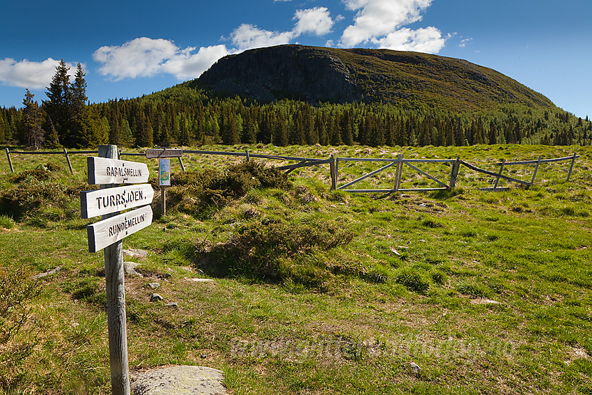 Ved stistart mot bl.a. Rabbalsmellen (1111 moh) fra Vangsjøen fjellstue, med toppen i bakgrunnen