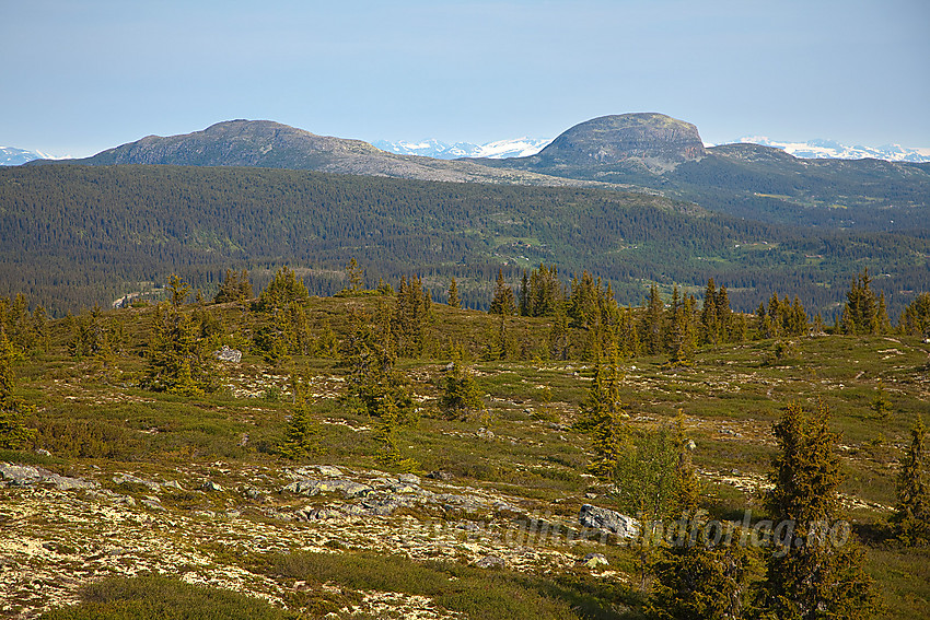 Utsikt fra Tveitastølfjellet mot Skarve- og Rundemellen.