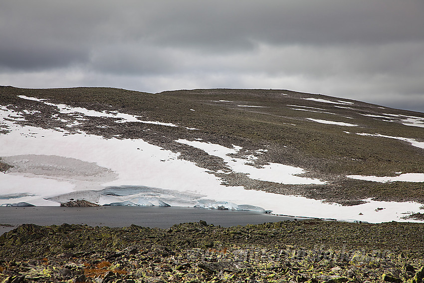 Ved tjernet på 1610 moh med den permanente snøfonna og Vennisfjellet (1776 moh) i bakgrunnen.