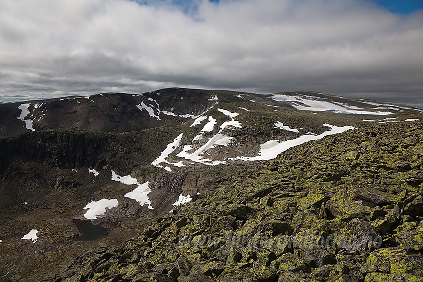 Mot Møsåkerkampen (1740 moh) og Vennisfjellet (1776 moh).