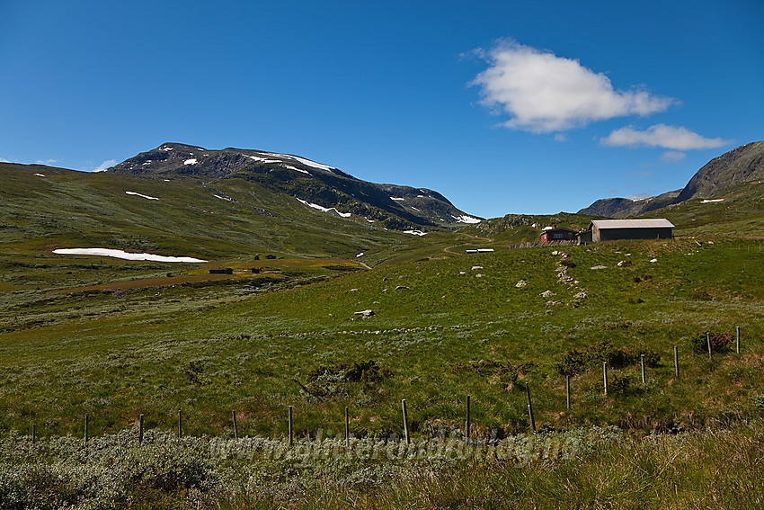 I Rysndalen med Mjellknapp (1678 moh) bak til venstre.