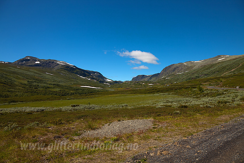 Innover Rysndalen i Vang med Mjellknapp (1678 moh) til venstre i bakgrunnen.