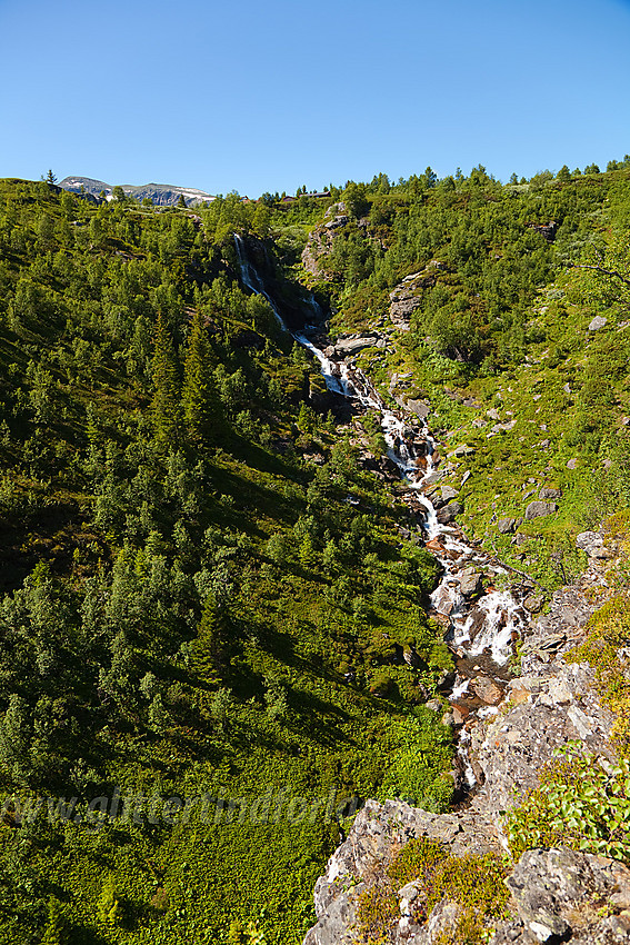 En del av Rysna som flyter forbi selve Sputrefossen.