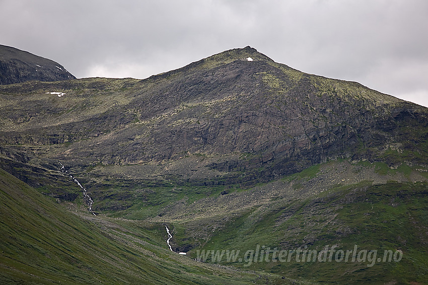 Fra Smådalen mot Kvannebakknøse (1535 moh) og Trongebytte.