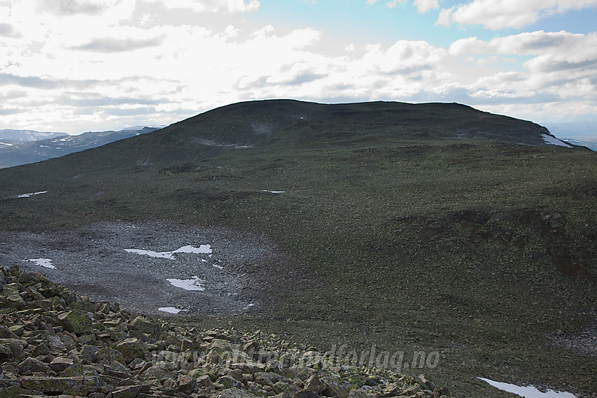 Rankonøse Nord (1704 moh), lite besøkt nabotopp til Rankonøse.