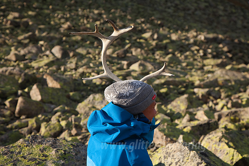 Pause i skaret mellom Rankonøse og Rankonøse Nord med fryd og glede over funn av reinsdyrhorn.