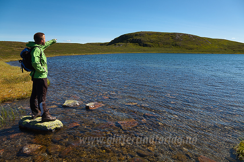 Ved Bjødalsvatna mot "østtoppen" på Bjødalsfjellet (1151 moh).