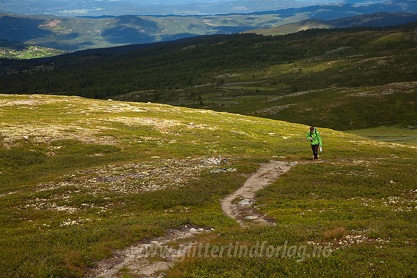 På vei opp den siste bakken mot Bjødalskampen (1159 moh).