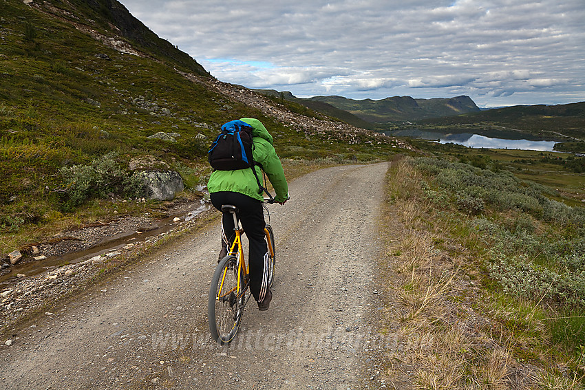 På sykkel ned mot Filefjell på anleggsveien fra Valdresdalen.