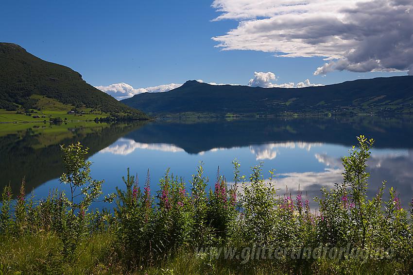 Ved Vangsmjøse mot Hugakøllen en sommerdag.