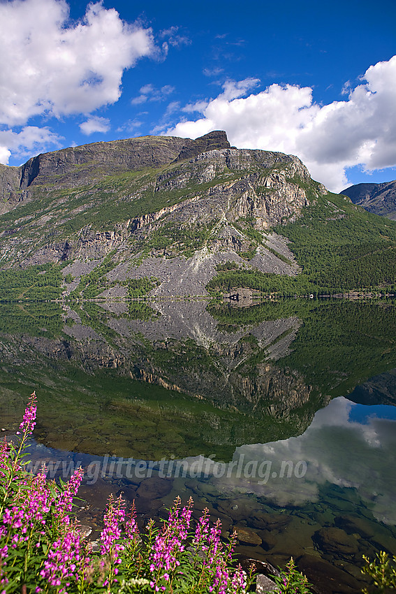 Ved Vangsmjøse mot Skusthorn (1630 moh).