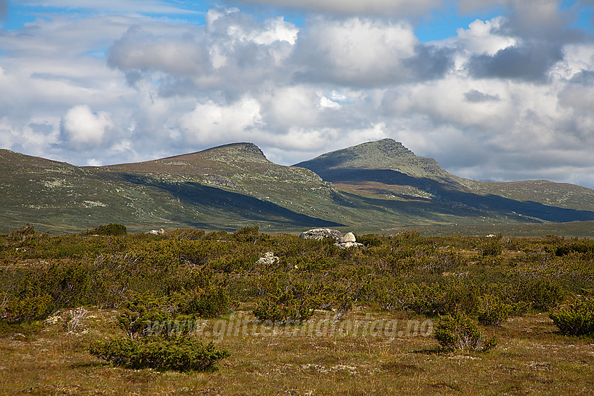 Mot Skreddalen, Svarthamaren (1471 moh) og Skaget (1686 moh).