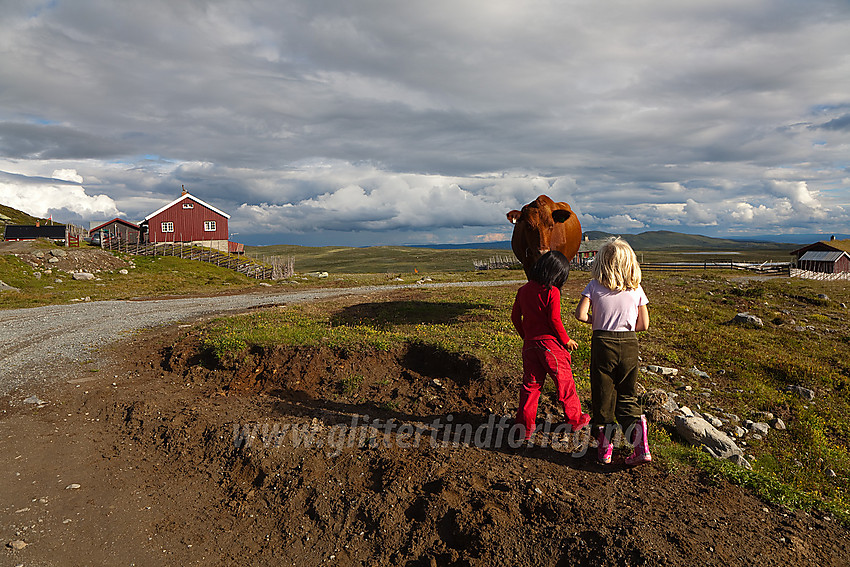 Barn møter beboer på Skreddalen i Øystre Slidre.