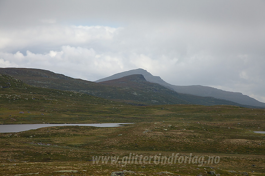 På vei mot Stryteberg med blikk mot litt av Skreddalsfjellet, Svarthamaren (1471 moh) og Skaget (1685 moh).