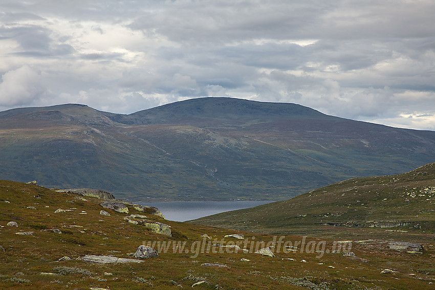 På vei ned fra Strytebergt med utsikt nordover til Gråhøe (1779 moh).