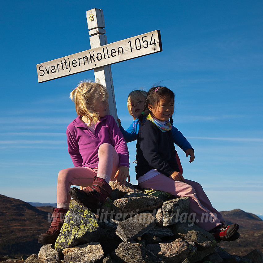 Fornøyde barn på toppen av Svarttjernkollen på Ringerike.