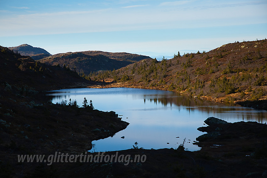 Ved Svarttjern på vei ned fra Svarttjernkollen. Bak til høyre ses såvidt Treknatten (1101 moh).