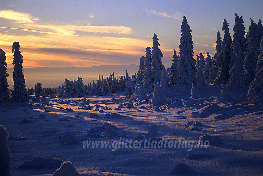 Vintereventyr i desember. På vei til Skardåsen i Nord-Aurdal.