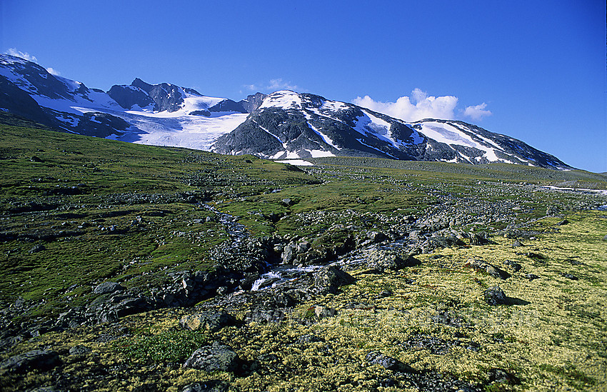 Mot Slettmarkpiggen (2164 moh) og Slettmarkkampen