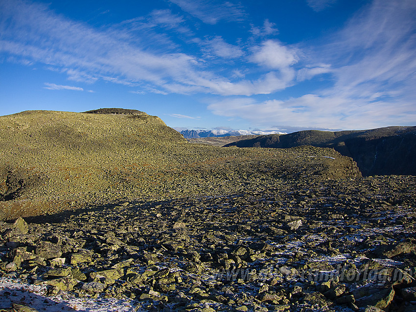 Mot toppen på Skutshorn (1630 moh) fra fremspringet ut mot Vangsmjøse i sør.