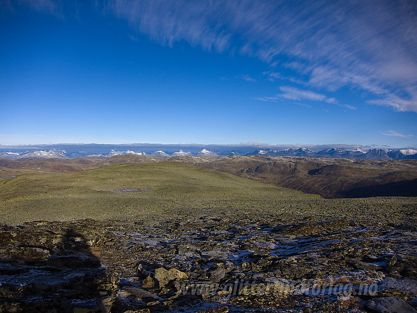 Utsikt fra Skutshorn (1630 moh) mot Vang.