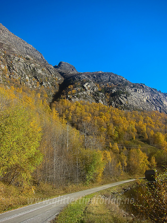 Ved Vangsmjøse mot "direkteruta" til Skutshorn. Fremspringet på toppen ses vel 1100 høydemeter lenger oppe.