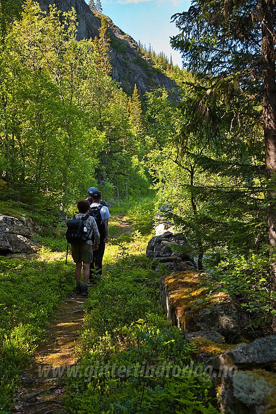 Fellestur med Valdres Tur- og Fjellsportlag på en bit av den gamle kongevegen i forbindelse med tur til Hugakøllen.