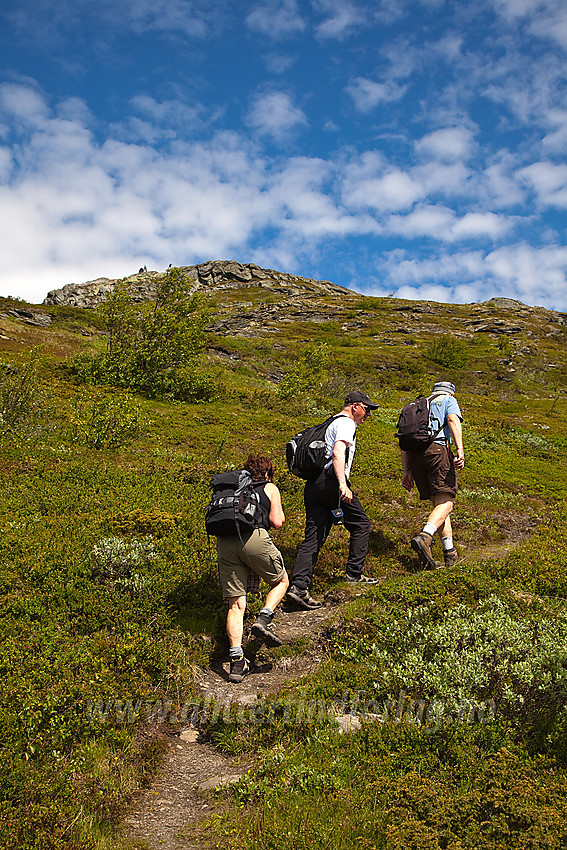 Mot Hugakøllen i Vang.