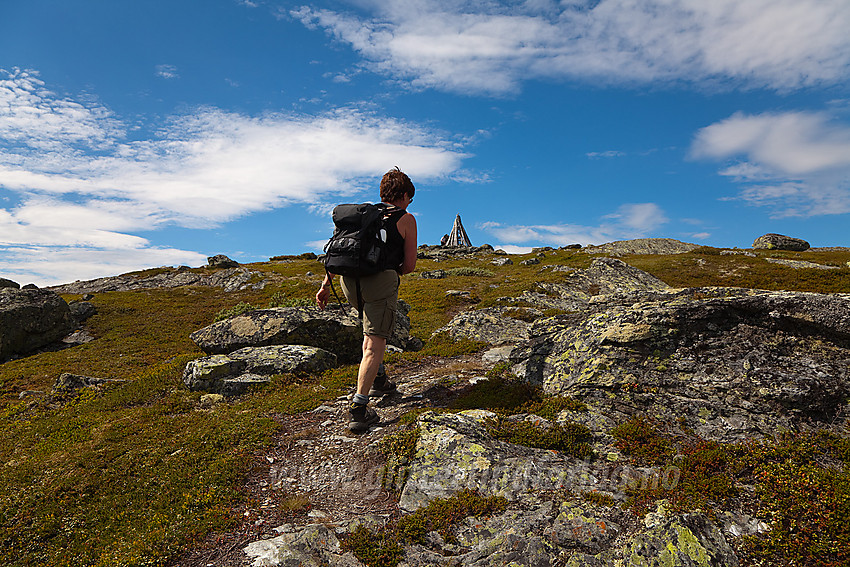 Siste biten mot toppen av Hugakøllen (1131 moh) i Vang.