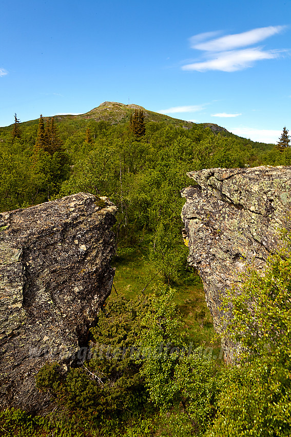 Ved Alasteinadn i Vang med Hugakøllen (1131 moh) i bakgrunnen.