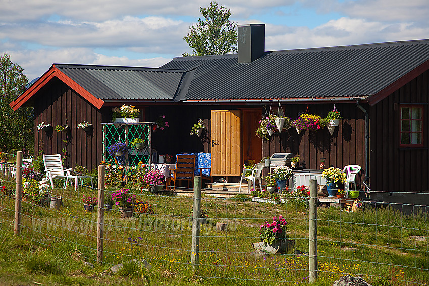 Blomsterdekorert støl/hytte ved Storhaug, ikke så langt fra Vaset i Vestre Slidre.