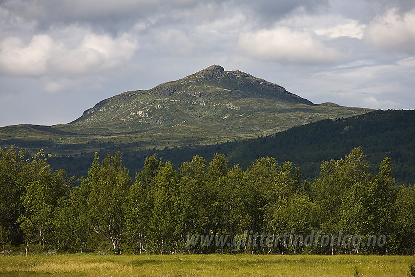 Fra Lenningen mot Djuptjernkampen (1325 moh).