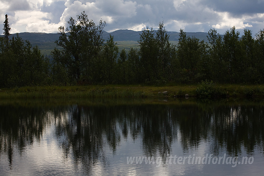 Tjern ved veien mellom Lillehammer og Etnedal.